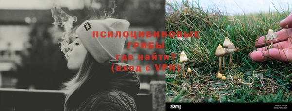 шишки Волосово
